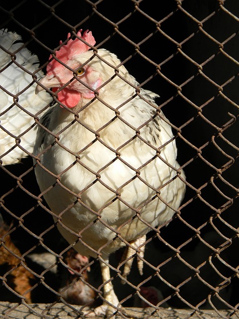 尽快适应新 尽快适应新