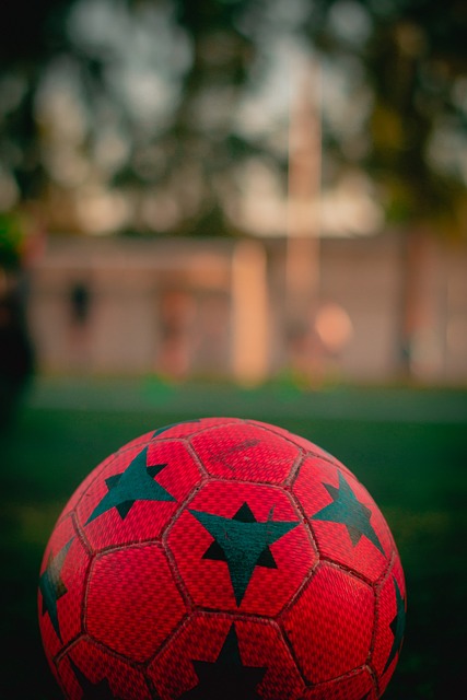 除了整體的 除了整體的