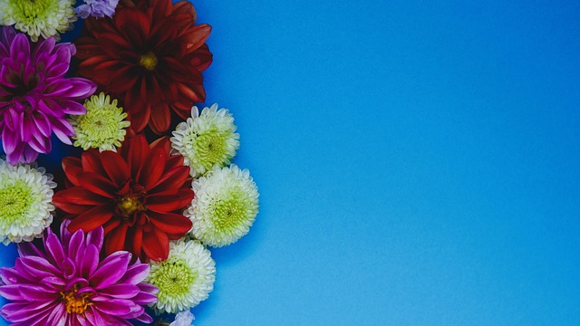 劃安排一個